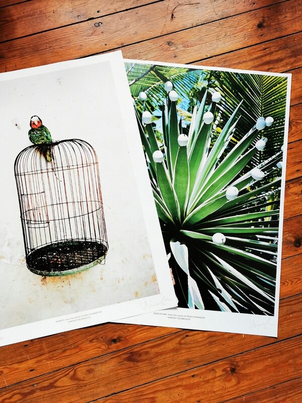 2 POSTERS: EGGS PLANT + PARROT
