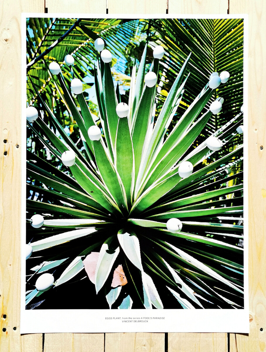 POSTER #009 EGGS PLANT