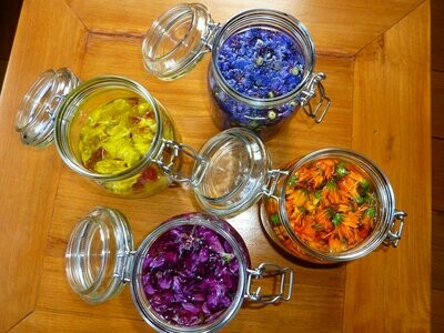 HUILES DE MACERATION DE PLANTES