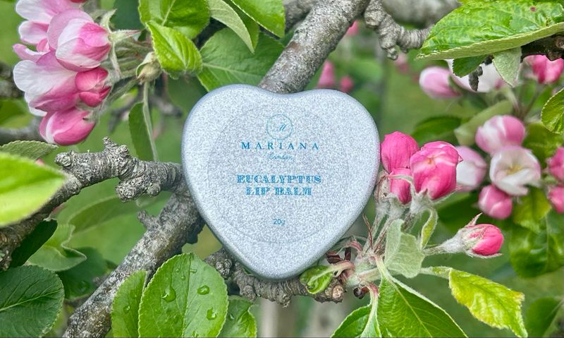 Eucalyptus Lip Balm (20g)