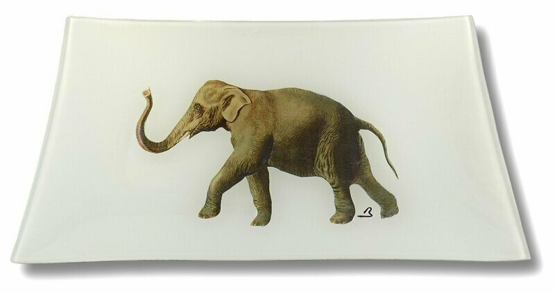 Eléphant des Indes