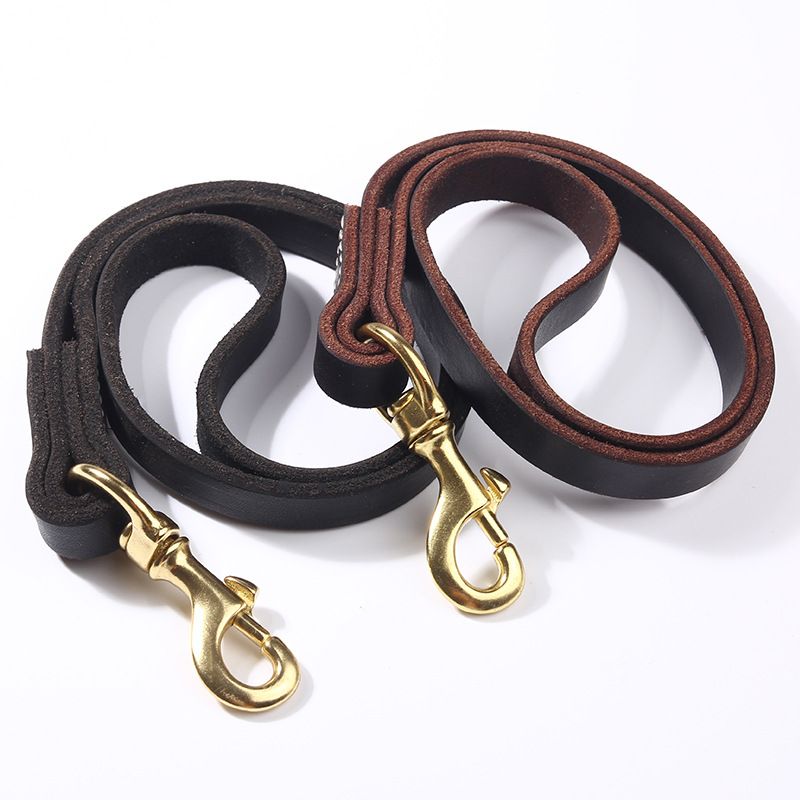 Leather and Brass Short Lead