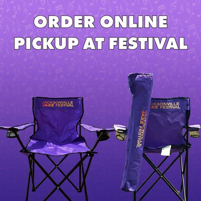 Folding Lawn Chair