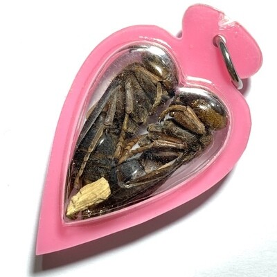 Paya Dtor Ngern Dtor Tong Wicha Lanna Boran Gold-Silver Treasure Bees Takrut &amp; Mai Yae Hyae Pink Casing Kroo Ba Or
