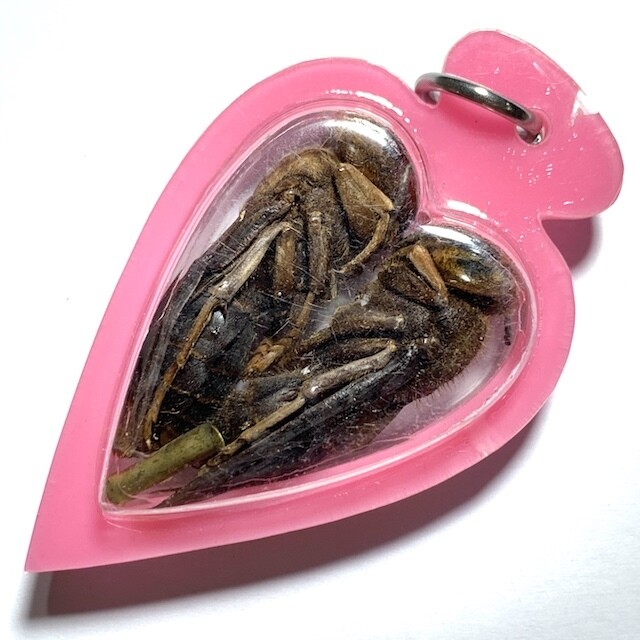 Paya Dtor Ngern Dtor Tong Wicha Lanna Boran Gold-Silver Treasure Bees Takrut &amp; Mai Yae Hyae Pink Casing Kroo Ba Or