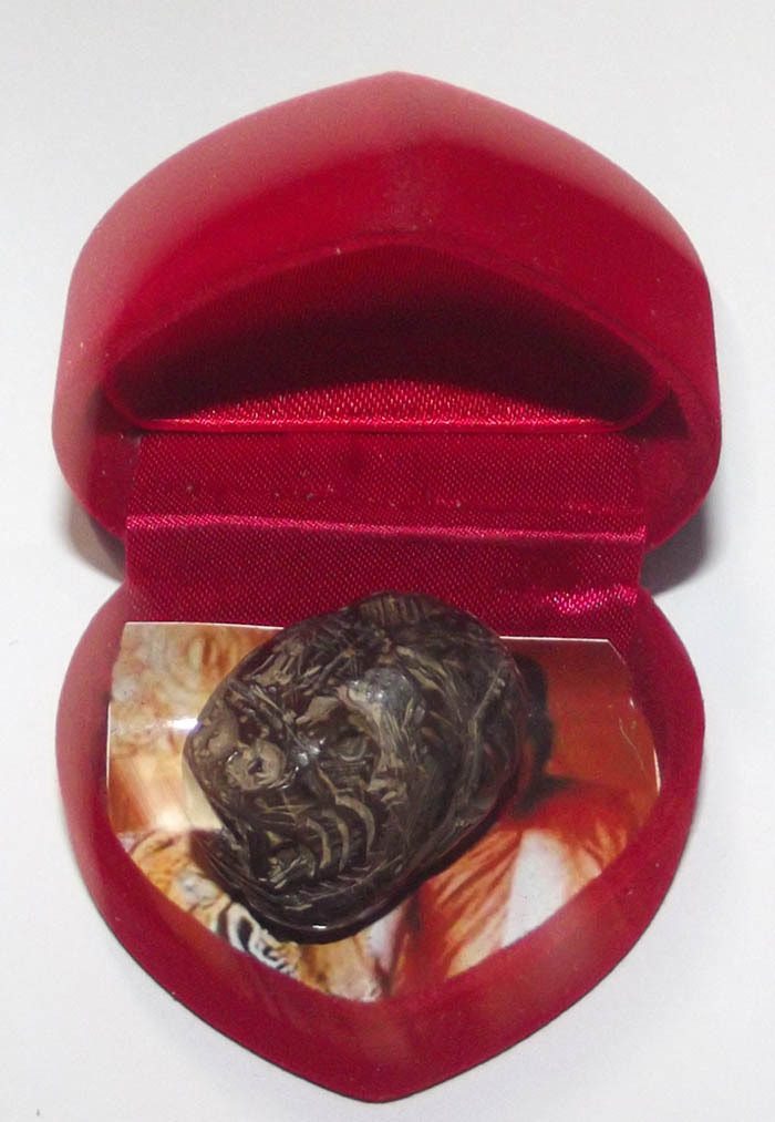 Kot Gala Mai Mee Dtaa Suea Maha Ud  Hand Carved Tiger from Miniature No-Eye Coconut - LP Kong - Wat Wang Sapparot