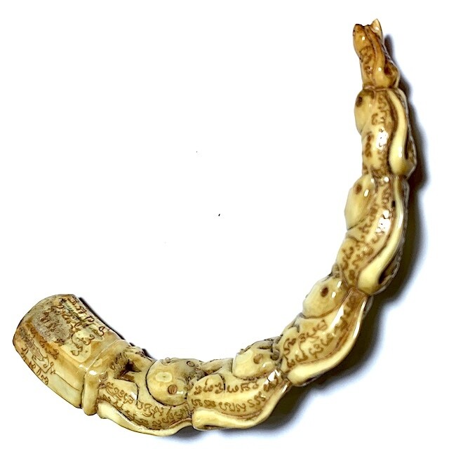 Khiaw Hmoo Dtan Gae Suea 6 Dtua Ud Muan Sarn Wild Boar Tusk 5 Inches 6 Carved Tigers Khom Spell Inscriptions Luang Por Sawai Free EMS