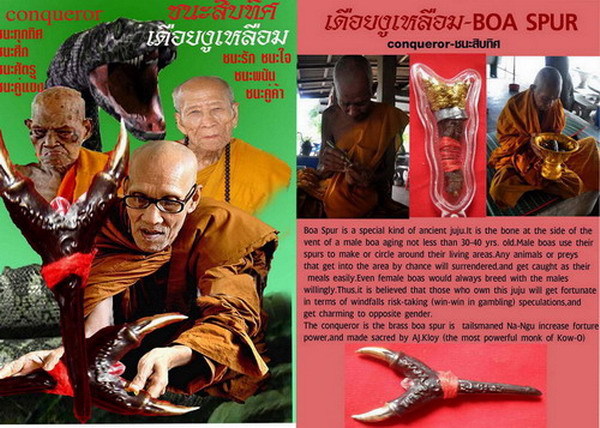 Dueay Ngu Hlueam - Boa Spurs for Gambling, Charm and Mercy 6.5 Cm - LP Kambu, LP Iad + LP Khai Blessing