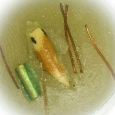 See Pheung Sariga Jik Sap - Treasure Pecking Celestial Magpie Potion with Takrut Sariga + Kruea Thao Hlong Enchantment Vine - Ajarn Sanao