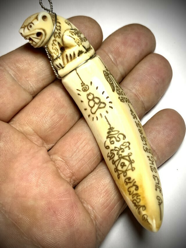 Khiaw Hmoo Dtan Gae Suea Wild Boar Tusk 4 Inches Carved Tiger