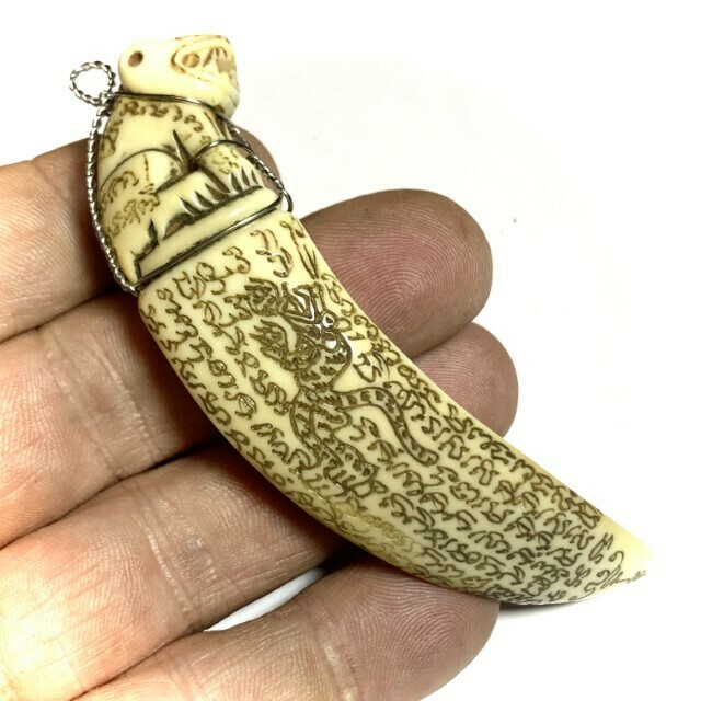 Khiaw Hmoo Dtan Gae Suea Wild Boar Tusk 4 Inches Carved Tiger Amulet Khom Spell Inscriptions Luang Por Sawai Wat Bridaram
