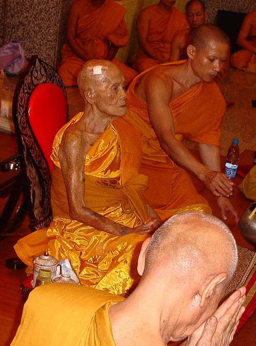 Suea Maha Amnaj, Maha Metta, Maha Ud - Nuea Mai Makham - Luang Phu Pan - Wat Pha Po Gaew