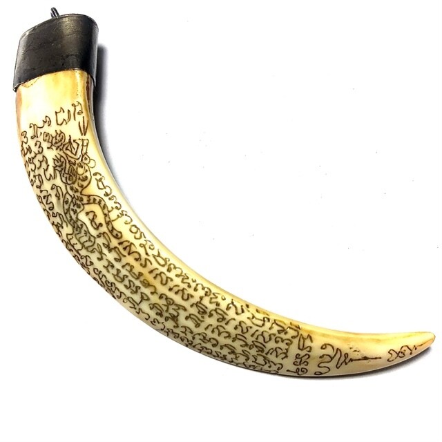 Khiaw Hmoo Dtan Wild Boar Tusk 4 Inches Hand Inscribed Yant Suea Sariga Ongk Pra Khom Spell Inscriptions Luang Por Sawai