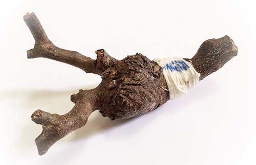 Hun Payont Mai Ga Fak Rak - Enchanted Sacred Treewood Spellbound Ghost Soldier effigy - Por Tan Kloi - Less Than 2 Dozen Made