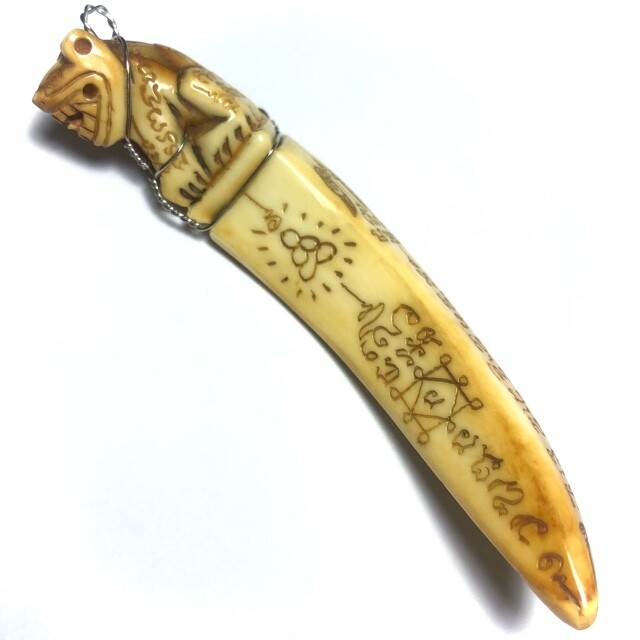 Khiaw Hmoo Dtan Gae Suea Wild Boar Tusk with Carved Tiger Amulet &amp; Khom Spell Inscriptions 3.5 Inches Luang Por Sawai
