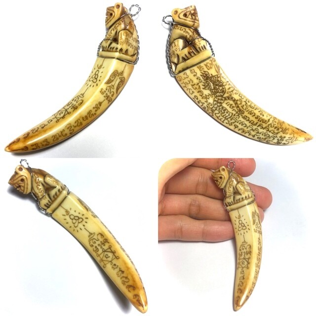 Khiaw Hmoo Dtan Gae Suea Wild Boar Tusk with Carved Tiger Amulet &amp; Khom Spell Inscriptions 3.5 Inches Luang Por Sawai