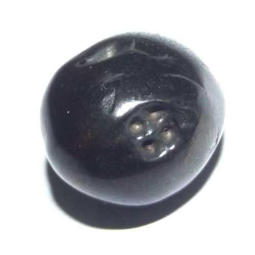 Lek Lai Sphere in form of 'Ngern Pot Duang' (Ancient Silver Money) - Luang Por Huan - Wat Putai Sawan