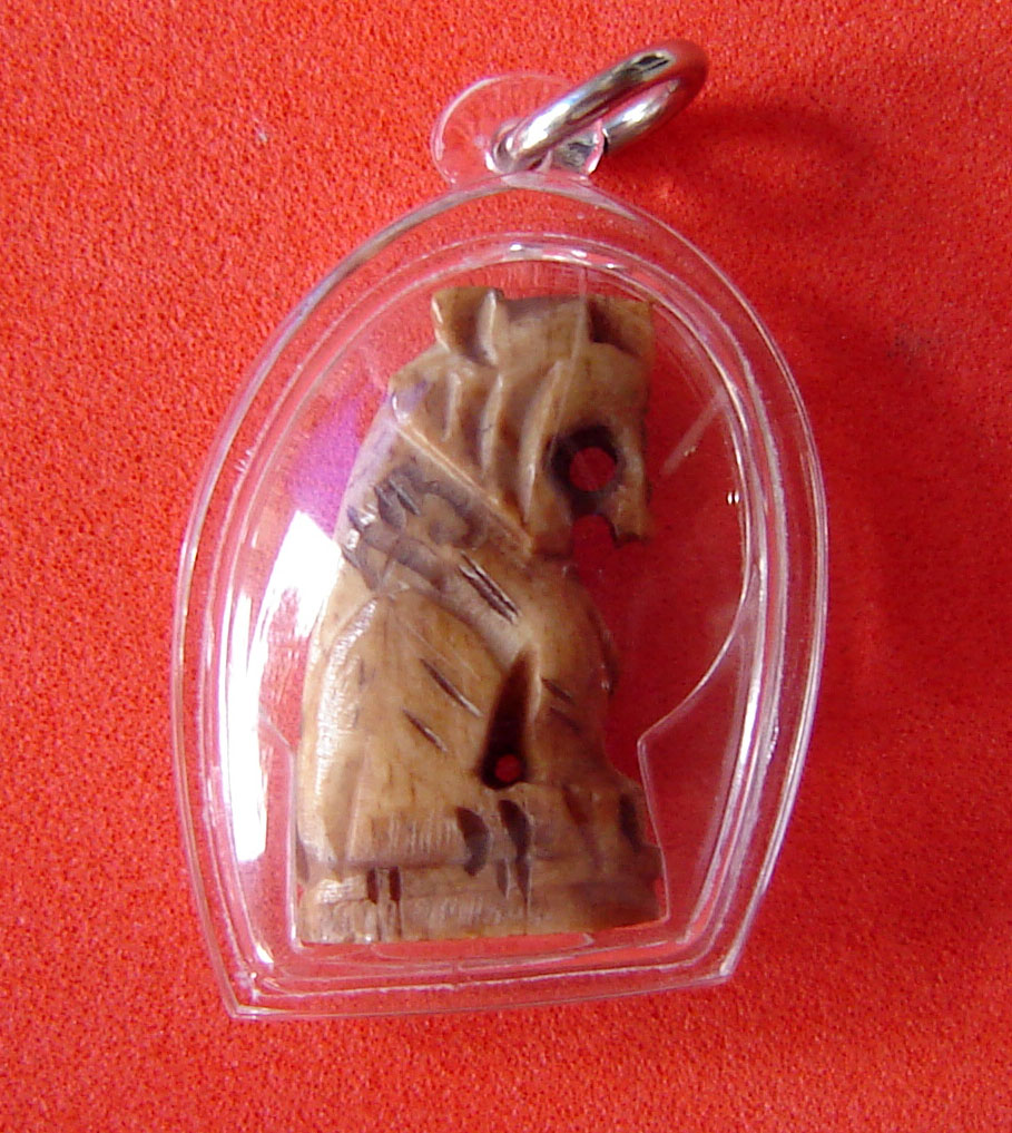 Suea Maha Amnaj - Nuea Graduk gae (carved bone) - Luang Phu Nong Tammachodto