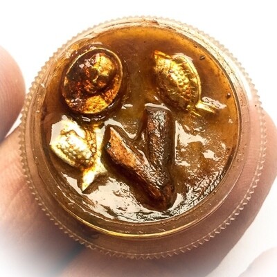 See Pheung Sariga Pla Tapian Met Dtaeng Luang Phu Sukh - Celestial Magpie + LP Sukh Coin + Lucky Barbfish Metta Potion - Wat Pak Klong Makham Tao 2545 BE