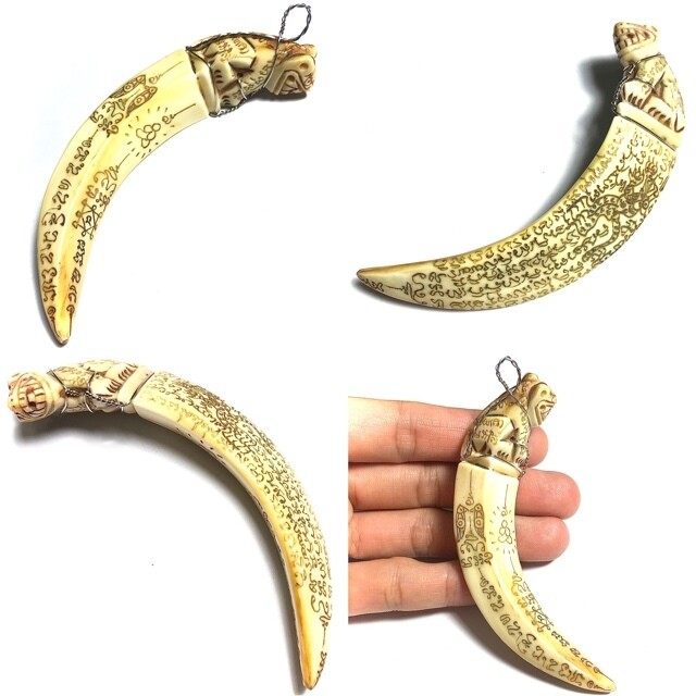 Khiaw Hmoo Dtan Gae Suea Wild Boar Tusk with Carved Tiger Amulet &amp; Khom Spell Inscriptions 3.5 Inches Luang Por Sawai Free Shipping