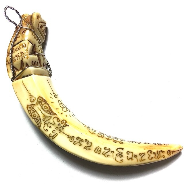 Khiaw Hmoo Dtan Gae Suea Wild Boar Tusk with Carved Tiger Amulet &amp; Khom Spell Inscriptions 3.5 Inches Luang Por Sawai Free Shipping