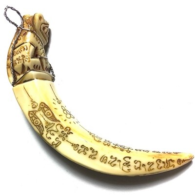 Khiaw Hmoo Dtan Gae Suea Wild Boar Tusk with Carved Tiger Amulet & Khom Spell Inscriptions 3.5 Inches Luang Por Sawai Free Shipping