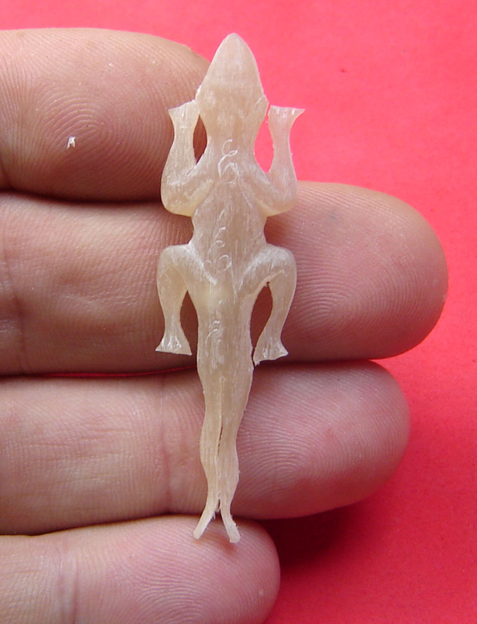 Jing Jok Sorng Hang Nam Choke (albino buffalo horn) - 2 tailed Gecko charm  for riches and luck - LP Rit