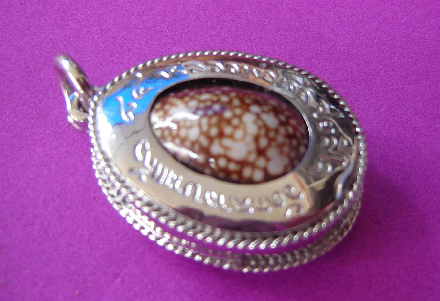 Bia Gae Jon Cowrie Shell Amulet for Wealth, Protection and Healing in Solid Silver Frame - Luang Phu Juea Wat Klang Bang Gaew