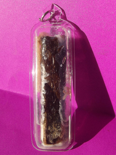 Takrut Ngu Hlueam Chae Nam Man Prai (Python Takrut in Prai Oil) 3 Inches - Traimas edition 2552 BE - Luang Phu In - Wat Nong Meg