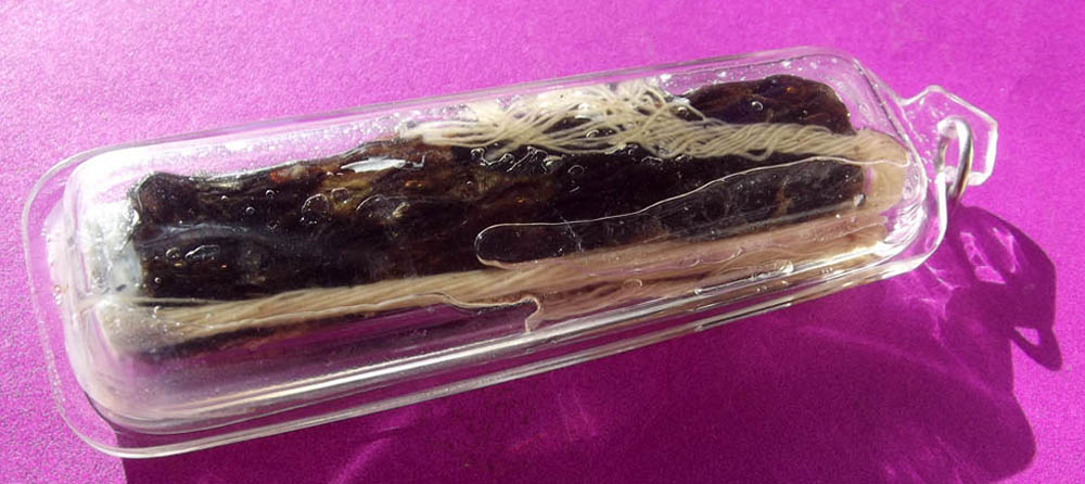 Takrut Ngu Hlueam Chae Nam Man Prai (Python Takrut in Prai Oil) 3 Inches - Traimas edition 2552 BE - Luang Phu In - Wat Nong Meg