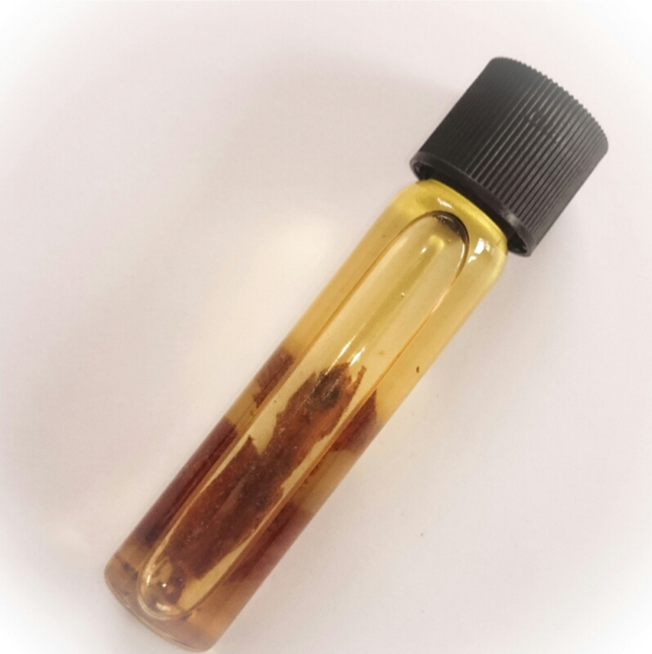 Nam Man Sanaeh Taep Ramjuan - Dancing Deva Enchantment Potion &amp; Mercy Charm Oil (Large Phial) - Ajarn Sanao