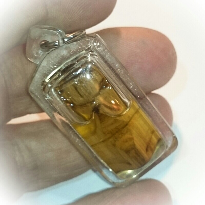 Mae Pikul Tong Animist Mercy Charm Sacred Golden Pikul Tree Deva in Nam Man Prai 2555 BE Wat Don Yan Nava