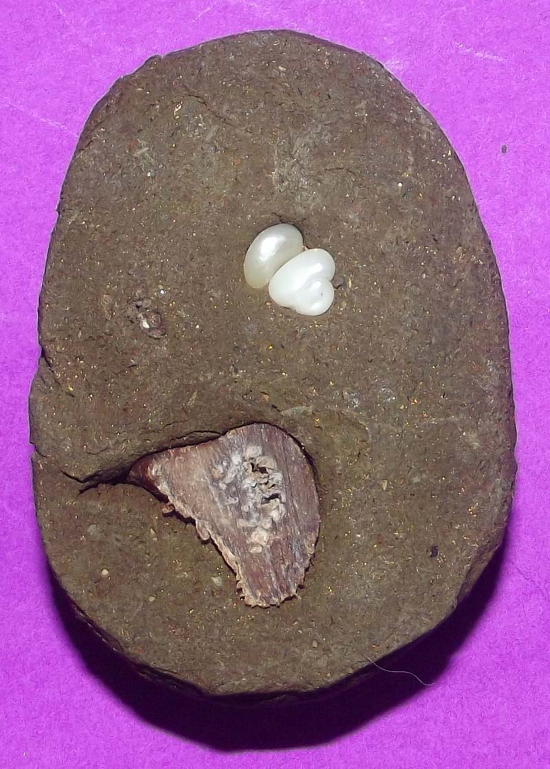 Por Sethee Kaa Khaay Dee (Wealthy Merchant with good sales) Fang Ploi Ud Muan Sarn Maha Sethee (semi precious stones and magical elements) Nuea Daeng (red sacred powders) - Pra Ajarn Oe Putto Raksa