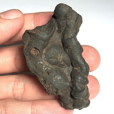 Kote Lek Lai Tham Magically Extracted Adamantine Substance 8 x 3 x 3 Cm Holy Cave Lek Lai Magical Incantations and Blessing LP Prohm & Khao Or Masters