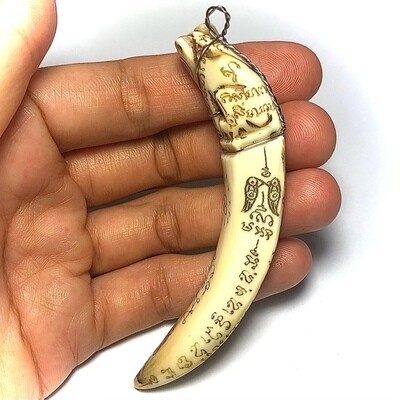 Khiaw Hmoo Dtan Gae Suea Wild Boar Tusk with Carved Tiger Amulet & Khom Spell Inscriptions 3.5 Inches Luang Por Sawai Free Shipping