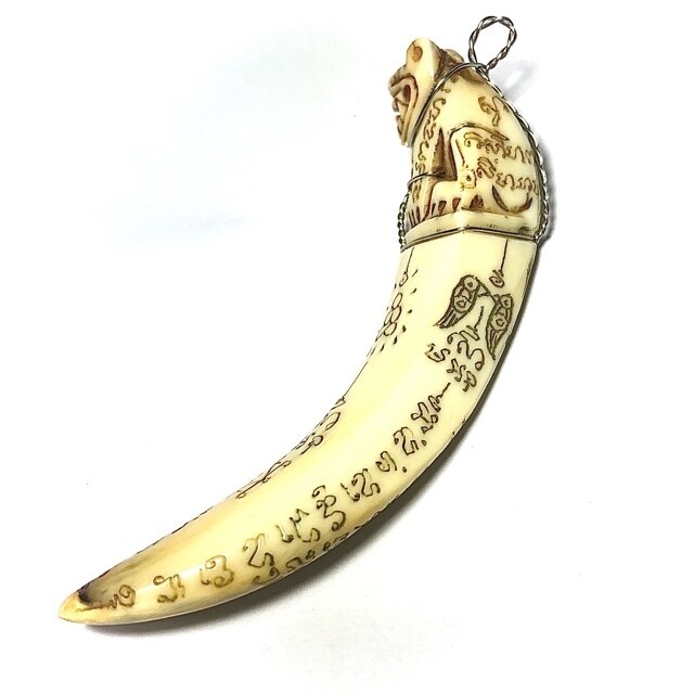 Khiaw Hmoo Dtan Gae Suea Wild Boar Tusk with Carved Tiger Amulet &amp; Khom Spell Inscriptions 3.5 Inches Luang Por Sawai Free Shipping