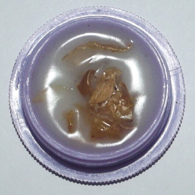 See Pheung Mae Huk Jao Sanaeh (Balm Oil Love Potion) Dtamrap Wicha Huk Nang Wua - Luang Phu Pan - Wat Wang Pae