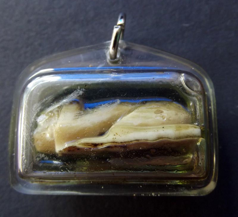 Choo Chok Paya Gao Khor (Nine Requests for free) 3 Takrut - Nuea Khao Lamang Chae Nam Man Prai (hand carved Stag horn in Prai Oil) 'Ruay Sap Ruay Sanaeh' Edition 2554 BE - Pra Ajarn Oe Putto Raksa