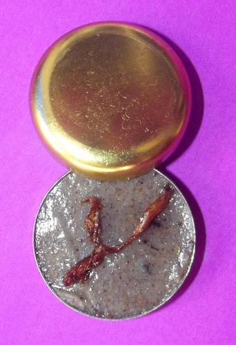 See Pherng Maha Hlong Maha Sanaeh Ud Wan Dork Tong - Metta Balm with Sacred Golden Flower Herb - Phu Mor Nak Paetch Saeng Keow 2545 BE (5 Gram Lid)