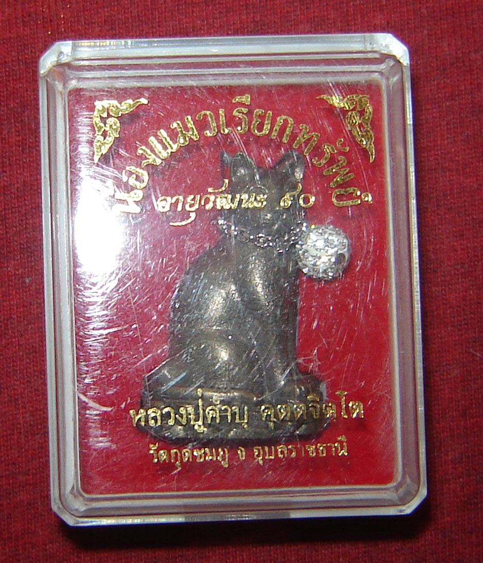 Nong Maew Riak Sap (treasure calling cat) Nuea Aathan ud Pong Look Krok Maew Takrut Choke Lap  - Ayu Wattana 2554 BE - Luang Phu Kambu - Wat Gut Chompoo - only 999 amulets made