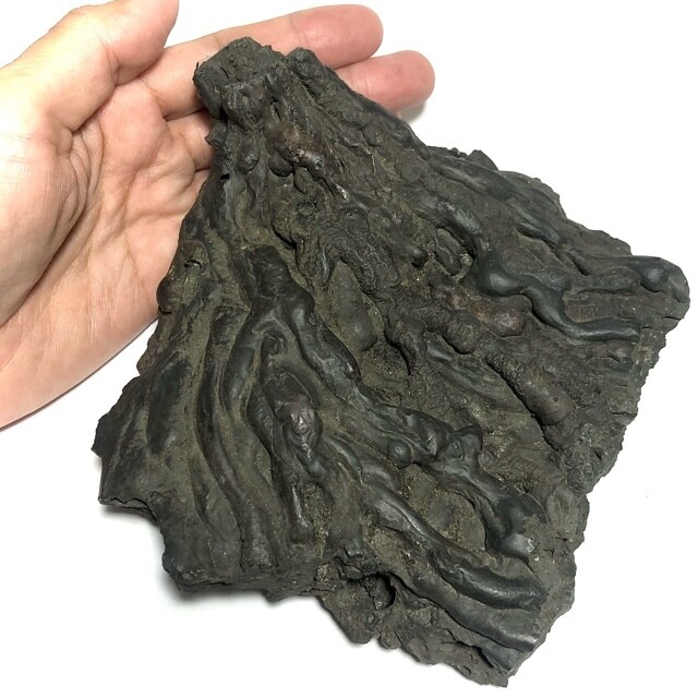 Extremely Rare Giant Size Holy Cave Lek Lai Kaya Siddhi Substance 1.6 KG - Cold Cut with Magical Incantations &amp; Ceremony Blessed by Khao Or Masters