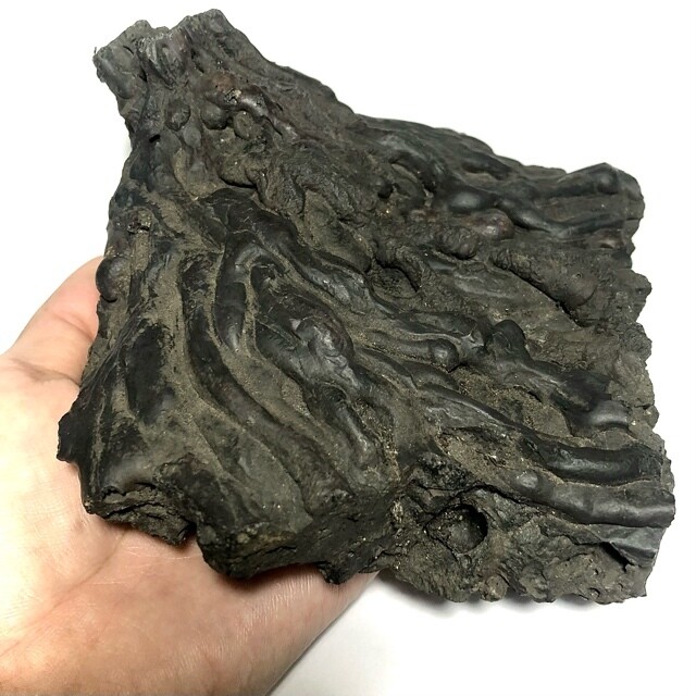 Extremely Rare Giant Size Holy Cave Lek Lai Kaya Siddhi Substance 1.6 KG - Cold Cut with Magical Incantations & Ceremony Blessed by Khao Or Masters