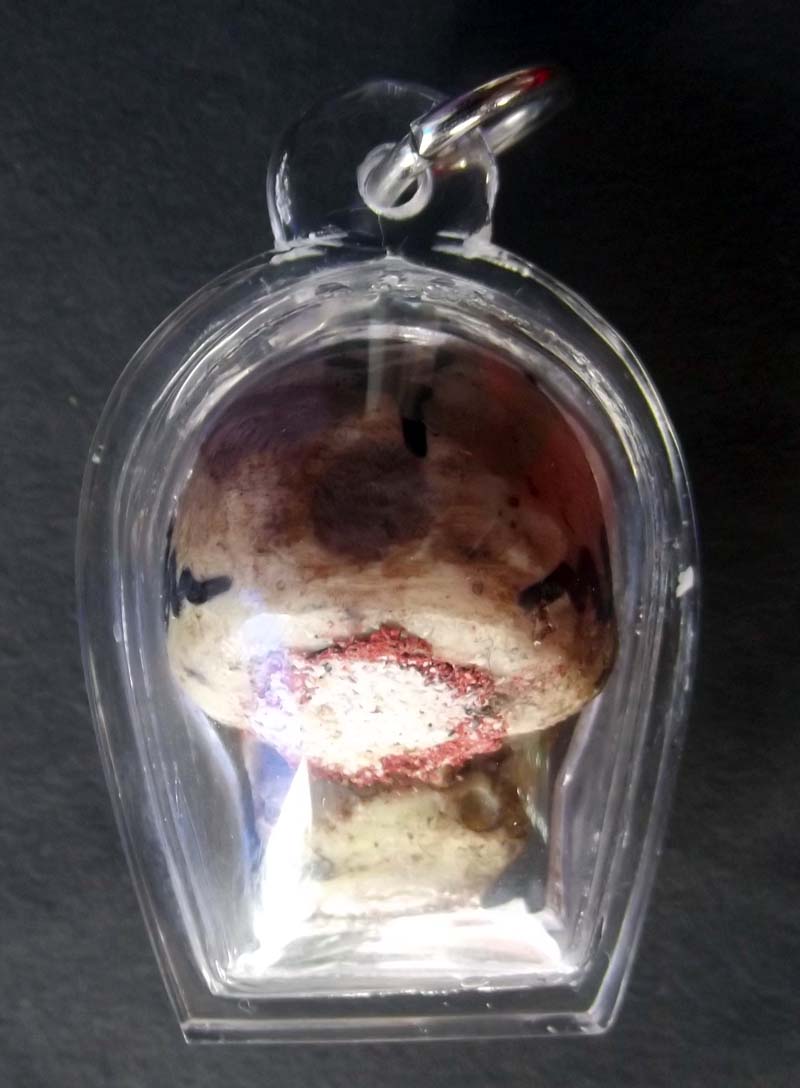 Prai Grasip Maha Sanaeh (Ghost Whisperer for Gambling, Protection and Love) - Nuea Pong Aathan Luan Pasom Look Krok - Luang Ta Naen - Pha Cha Boran Sri Saket 2554 BE - Waterproof Casing Included