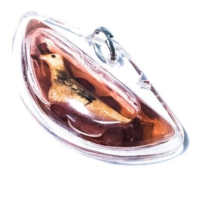 Sariga Hlong Rang Celestial Magpie in Nam Man Prai Taep Ranjuan, Met Maglam, Takrut, Sincana Cord &amp; Wealth Gems - Luang Ta Ruam