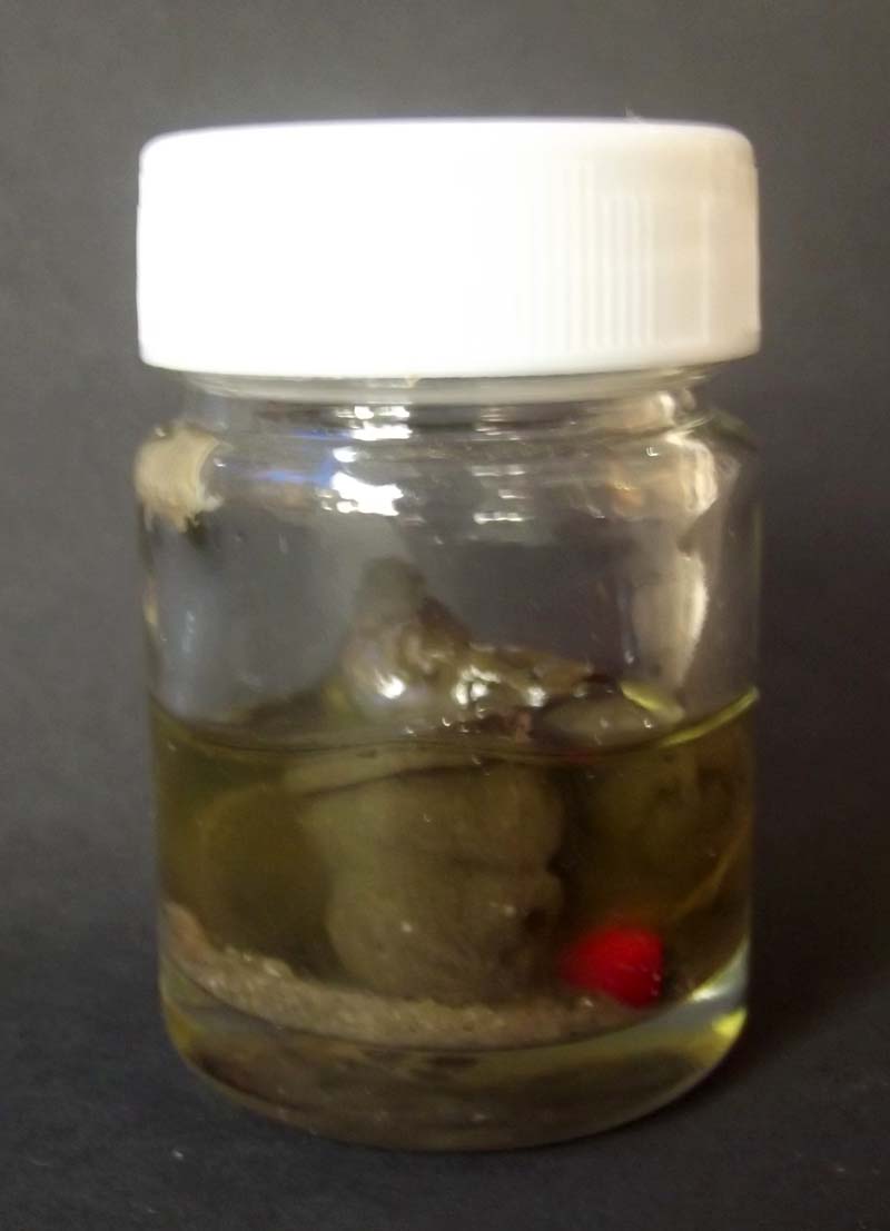Pid Ta Nang Prai Khmer (Ladybird Spirit Ghost) - Special version 3 amulets in Prai Oil - Nuea Pong Prai Kumarn Kanong Rit Chae Nam Man Prai - Yokee Harit Ta Tip Rit Taewa - Asrom Visnu Montra