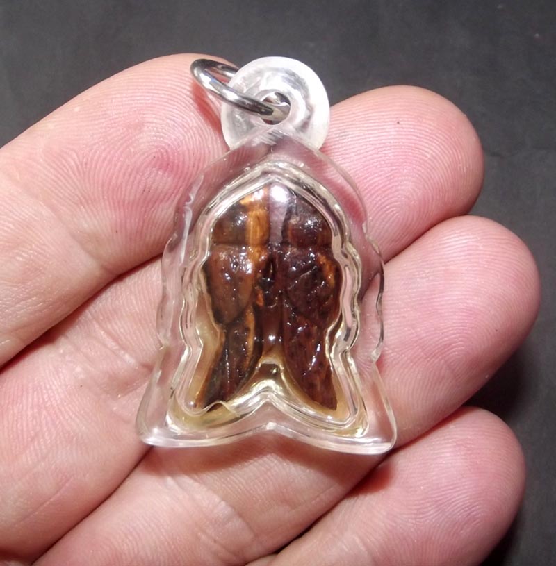 Nok Sariga Koo - Nuea Mai Payung Daeng Gae Liam Nam Man Sariga - Himapant Golden Tongue Celestial Magpie - Hand Carved Magical Wood in Sariga Charm Oil - Ajarn Suntorn Phueak Tiang