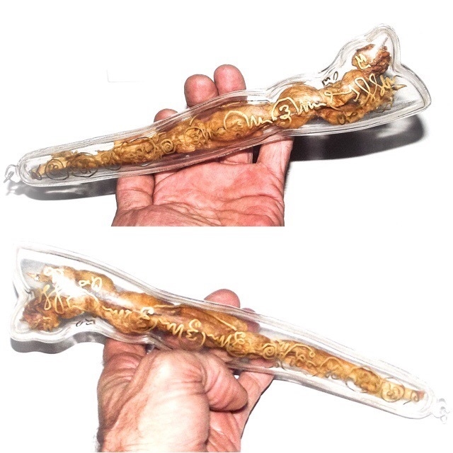 Dueay Ngu Hlueam Dtua Yaks Giant Python Spur 10 Inches - Gambling Talisman &amp; Treasure Guardian - Empowerment by Ajarn Plien and Luang Por Prohm Wat Ban Suan
