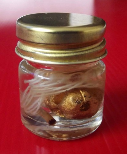 Kumarn Tong Prai Grasip Siang Choke (Ghost Whisperer Skull for Gamblers) - Immersed in Prai Oil - Luang Phu Sawad Siri Mangkalo - Wat Kaset Sukh (Payao) 2552 BE