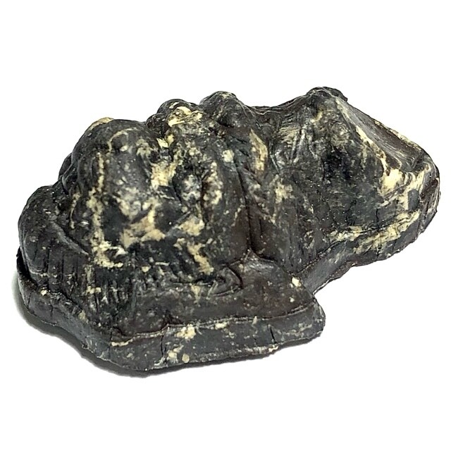 Lersi Pu Jao Saming Prai Tiger Face Hermit God Amulet 5 Silver Takrut &amp; Jivara Monk Robe Affixed Luang Por Somkuan