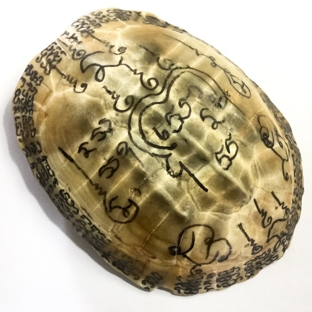 Tao Ruean Maha Pokasap Jarn Mer Temple Turtle Shell with Handmade Magic Spell Inscriptions - Luang Por Prohm Wat Ban Suan